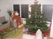 Tak jsem doma 28.12.=29.12. 007.jpg